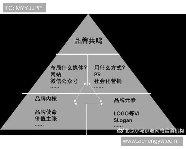 广东足球明星代言费用揭秘及其对品牌推广的影响分析
