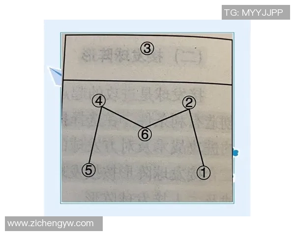 重庆排球队在精英赛中的力量展现与战术分析